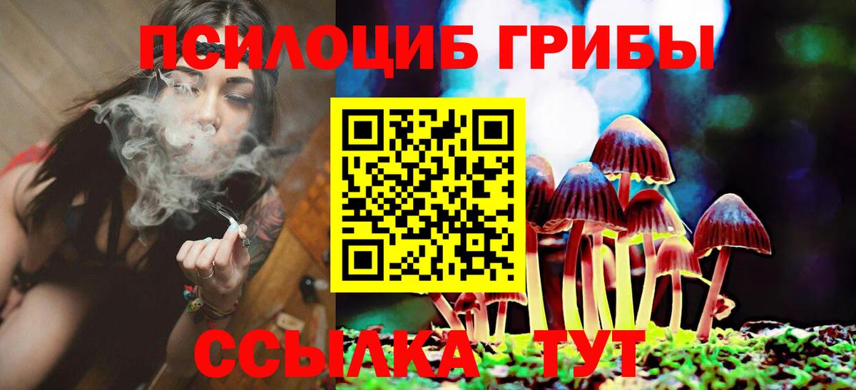 где купить наркоту  Галлюциногенные грибы мицелий  Вход с VPN  Старая Купавна 